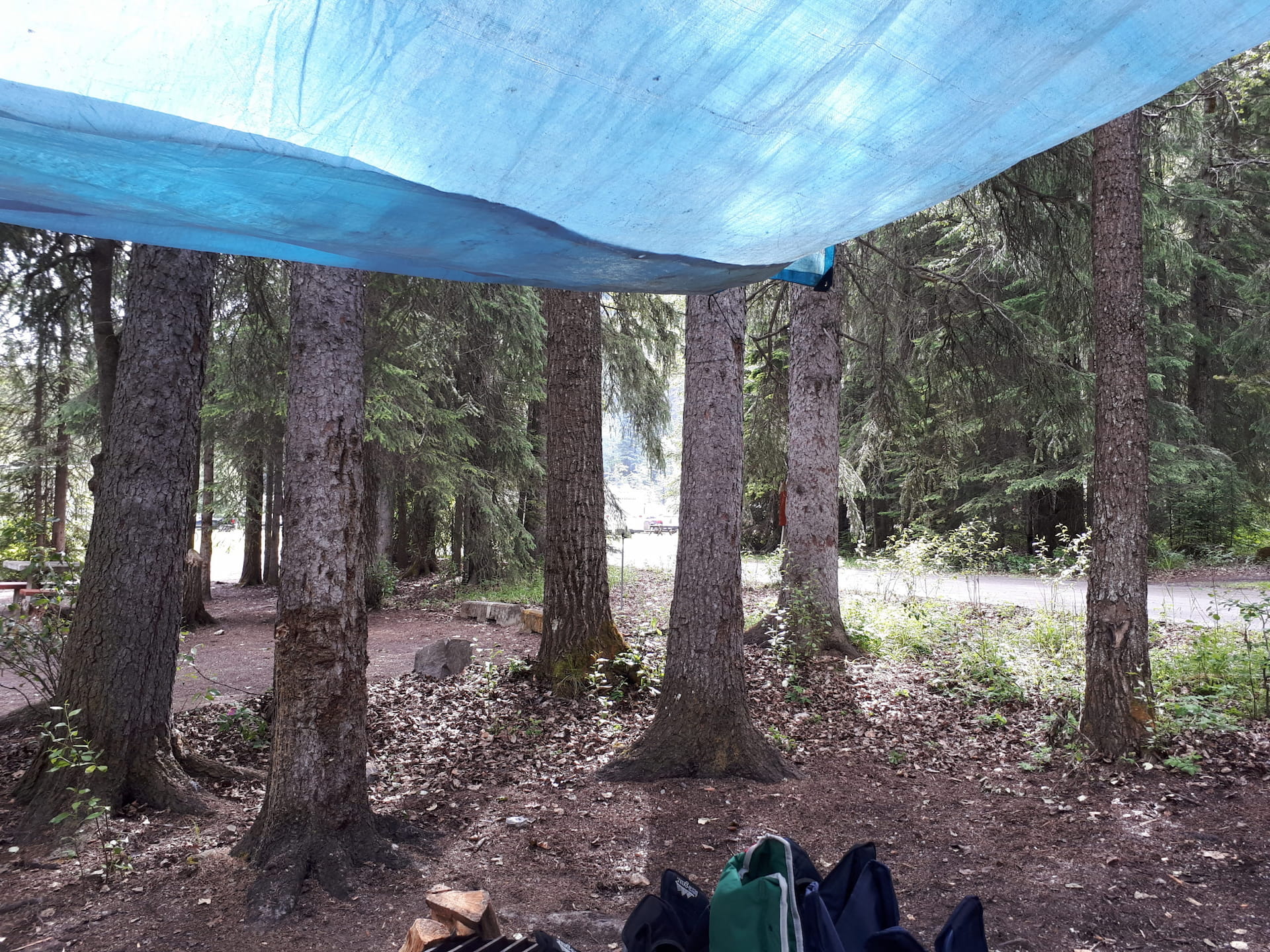 View of a campsite at Kicking Horse Campground. There are tall trees bordering the site with a fire pit. There is a tarp put up and chairs folded up.