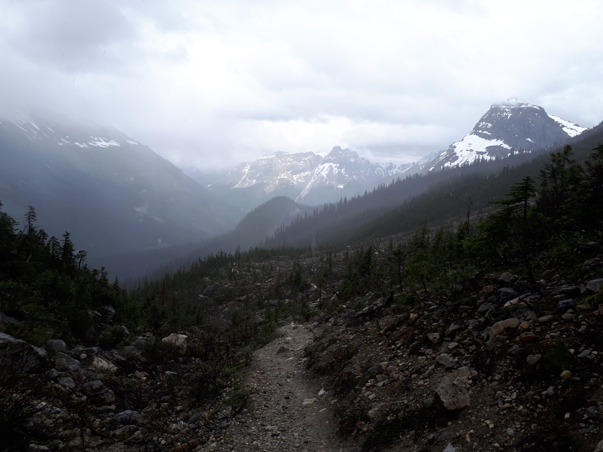 Hiking trail to Yoho Lake on a rainy day with a view of the mountain range and forest in the distance.