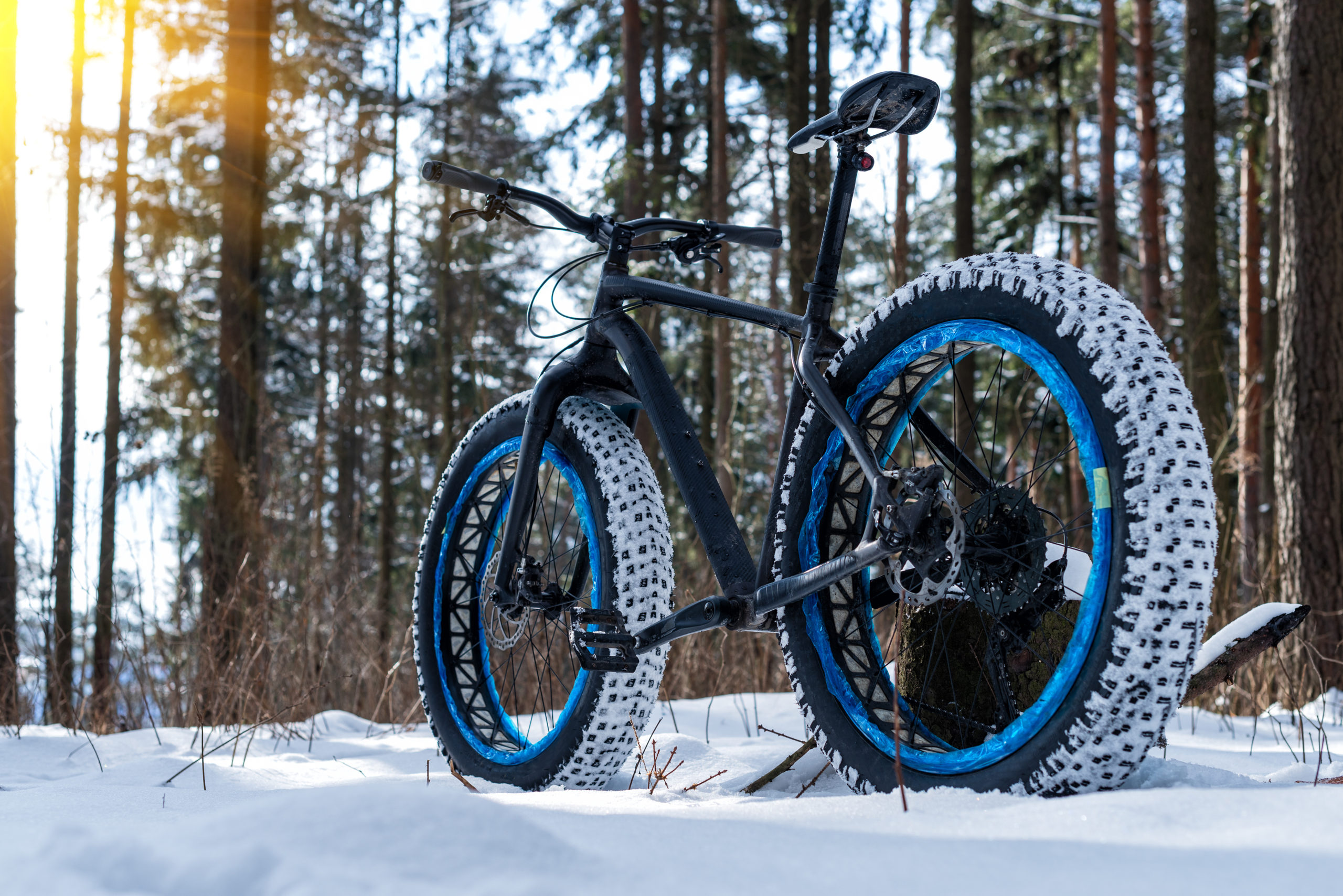 Winter fat tire bike parked on a trail in the woods.