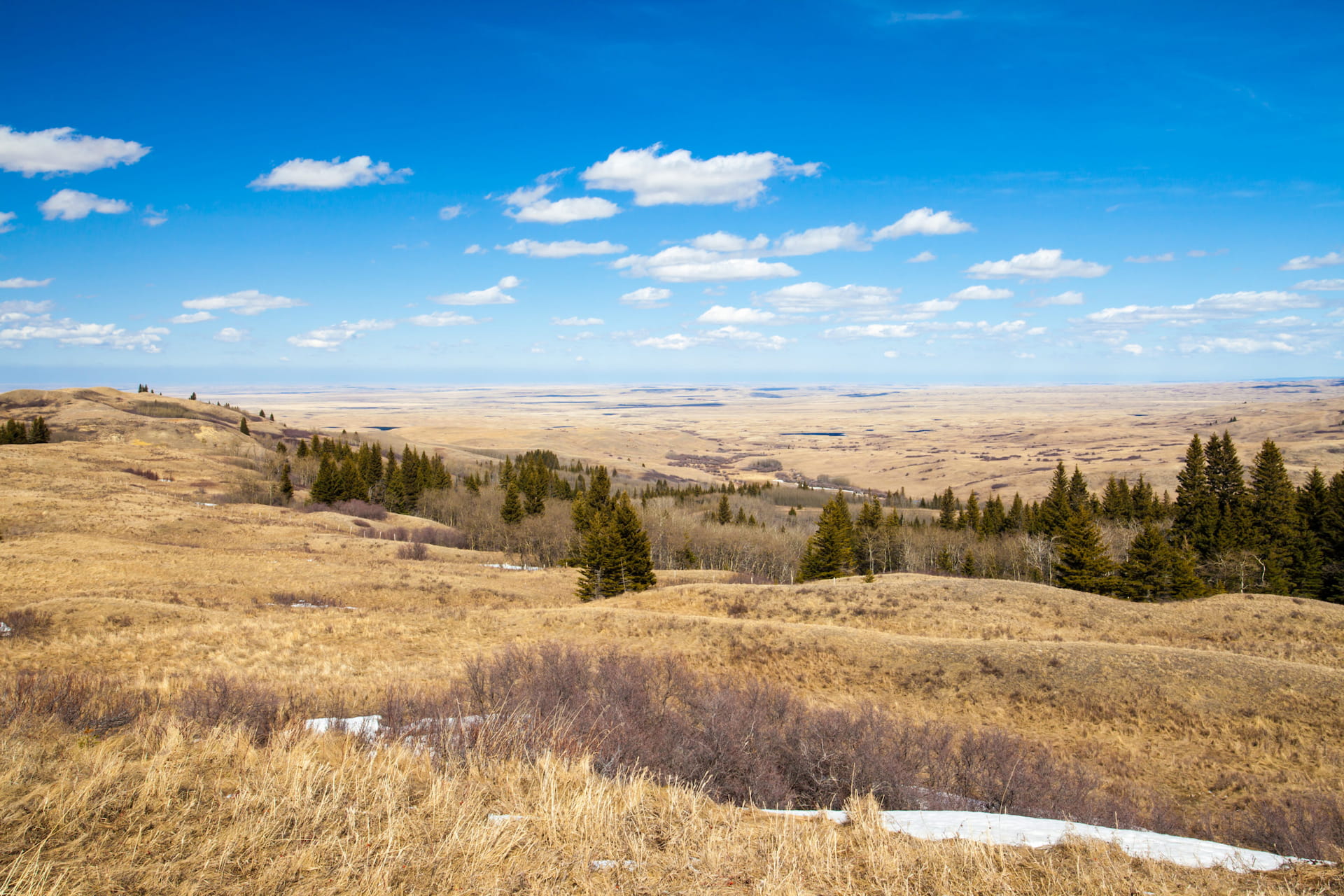 Panoramic view of Cypress Hills Interprovincial Park in fall. Rolling hills with forest in low-lying areas.