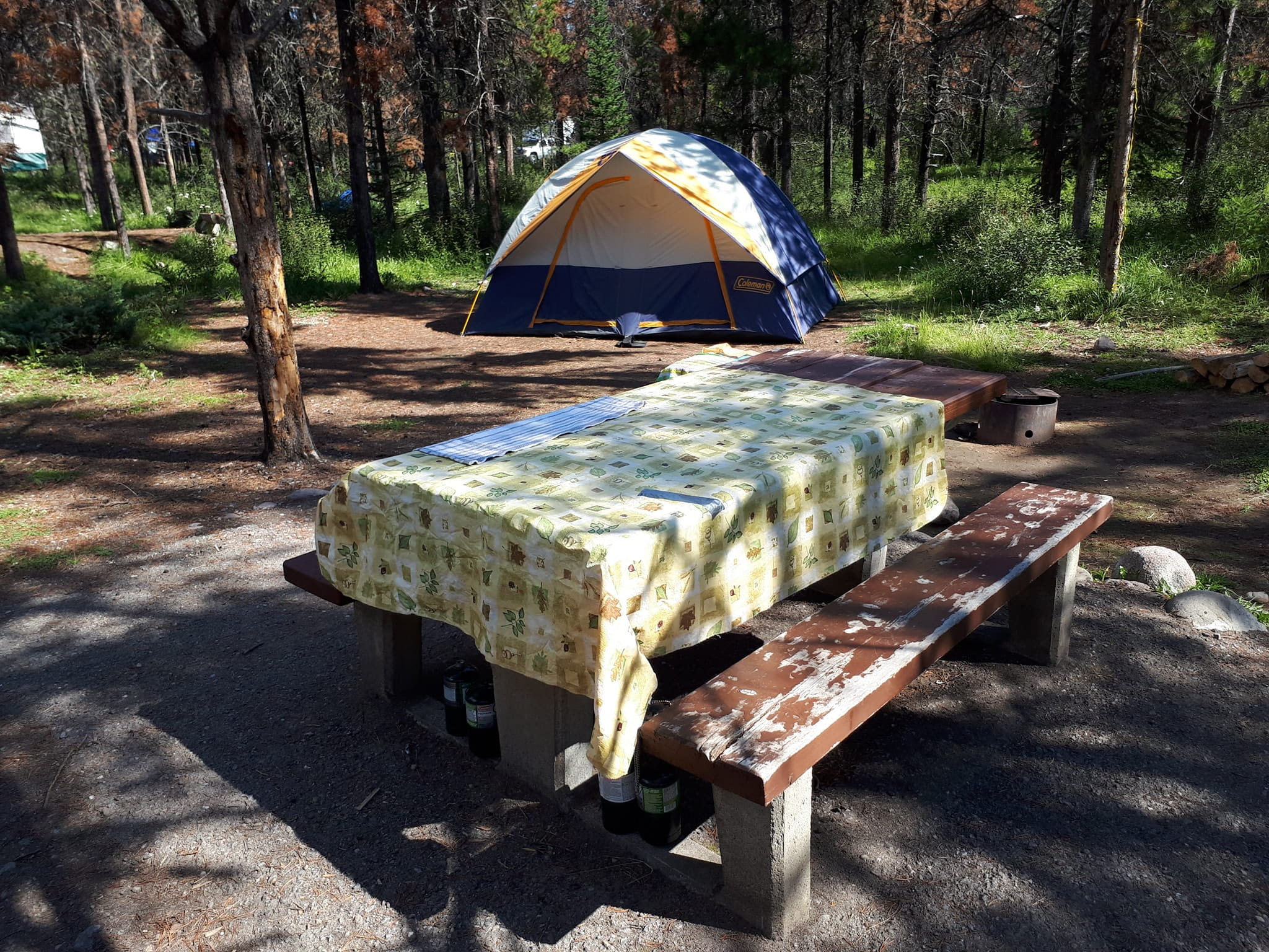 wapiti-campground-site